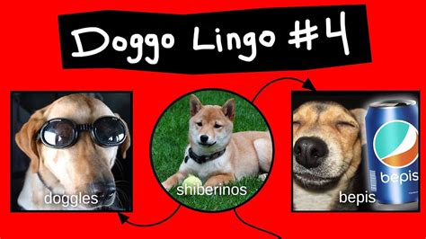 youtube doggo|doggo lingo dictionary.